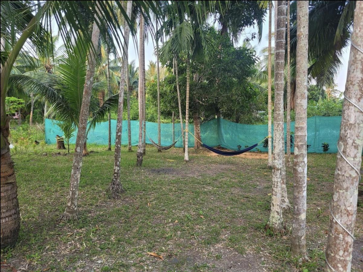 Blue Lagoon Resort, Neil Island Sitapur Extérieur photo