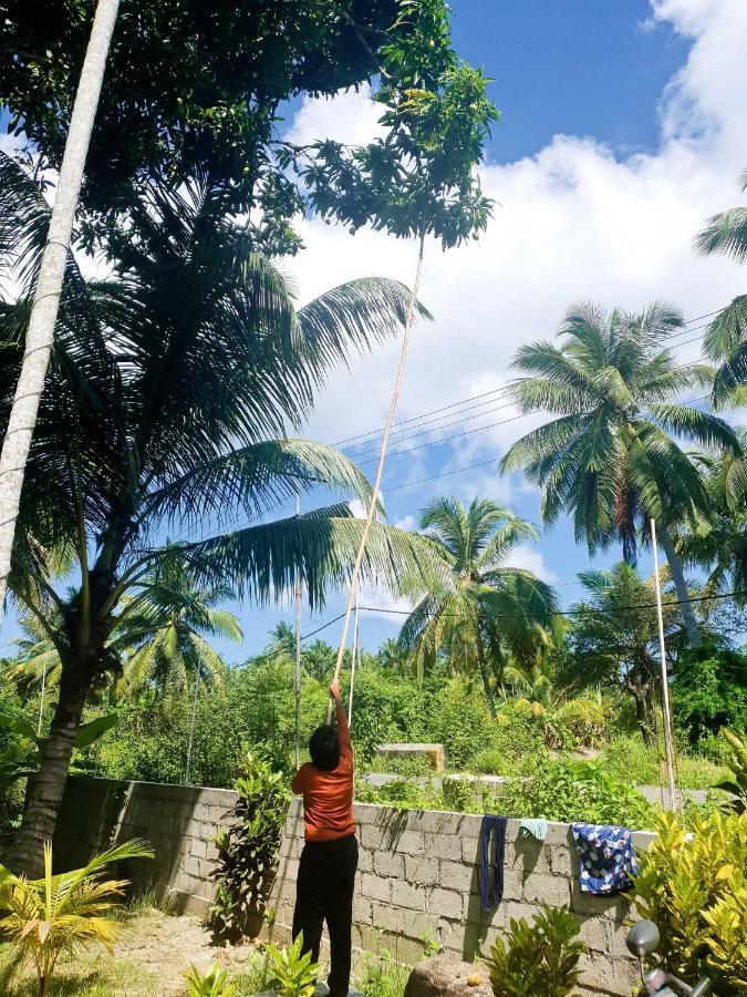 Blue Lagoon Resort, Neil Island Sitapur Extérieur photo